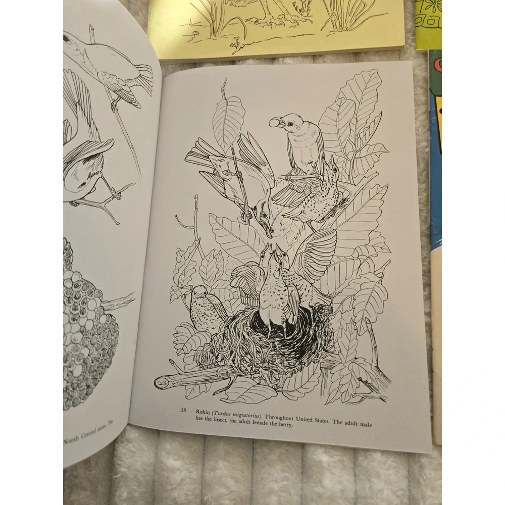 4 Nature Coloring Books Florida Audubon's Birds Everglades West Wildlife Gift